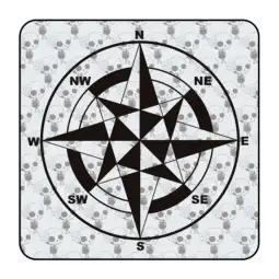 ROSA DE LOS VIENTOS' 'vv0771' Compass Die Cut Sticker 2