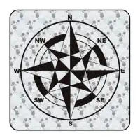 ROSA DE LOS VIENTOS 2