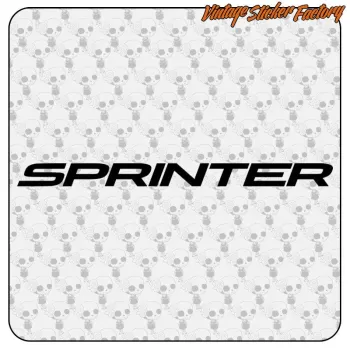 SPRINTER - 2