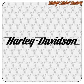 HARLEY DAVIDSON - 13