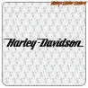 HARLEY DAVIDSON - 13