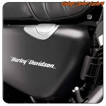 HARLEY DAVIDSON - 13