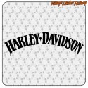 HARLEY DAVIDSON - 12