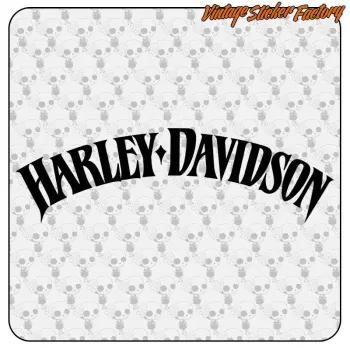 HARLEY DAVIDSON - 12