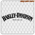 HARLEY DAVIDSON - 10