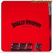 HARLEY DAVIDSON - 10