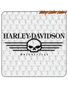 HARLEY DAVIDSON - 6 