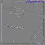 NUEVO