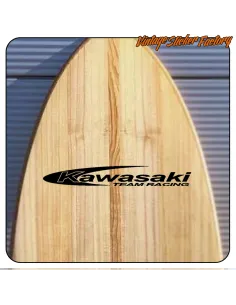 KAWASAKI TEAM RACING