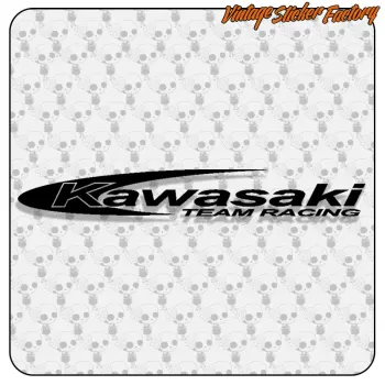 KAWASAKI TEAM RACING