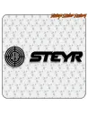 STEYR