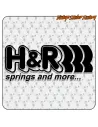 H&R SPRINGS AND MORE
