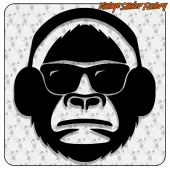 MADE LIKE A GUN, GOES LIKE A BULLET 6 2