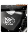 BORN TO RIDE