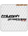 TRIUMPH STREETTRIPLE
