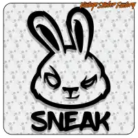 MADE LIKE A GUN, GOES LIKE A BULLET 4 2