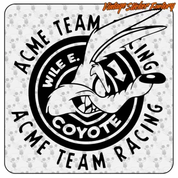 ACME TEAM