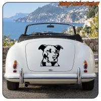 PITBULL - AMERICAN STAFORD STICKER. BUY VINYL STICKERS.