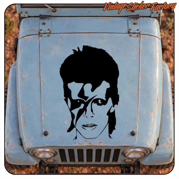 DAVID BOWIE STICKER. BUY VINYL STICKERS.