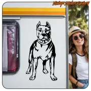 PIT BULL STICKER. BUY VINYL STICKERS.