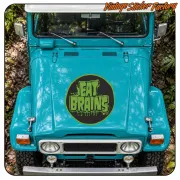 AUTOCOLLANT EAT BRAINS. ACHETEZ DES AUTOCOLLANTS EN VINYLE.