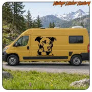 Pegatina PITBULL - AMERICAN STTAFORD. Comprar pegatinas.