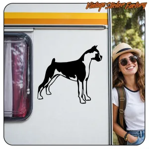 Pegatina BOXER. Comprar pegatinas.