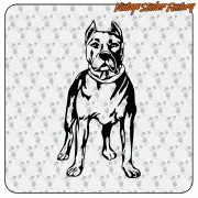 Autocollant pit bull en plusieurs dimensions et orientations
