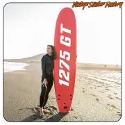 1275 GT STICKER. BUY VINYL STICKERS.