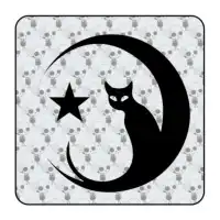 Sticker Gato 2