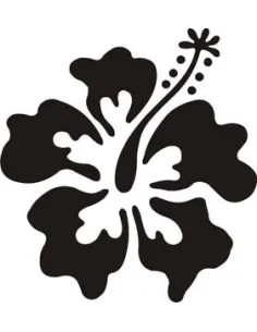 Hawaiianische Blumenhibiskus -2