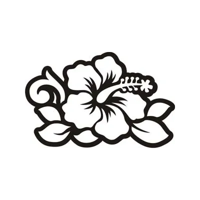 Hawaiian flower hibiscus -4