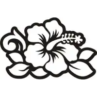 Sticker Flor Hawaiana Hibiscus