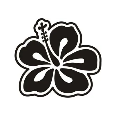 Hawaiian flower hibiscus -6