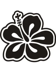 Hawaiianische Blume Hibiskus -6