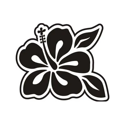 FLOR HAWAIANA HIBISCUS