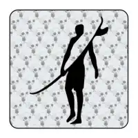 Autocollant tabla surf 2