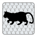 Sticker gato