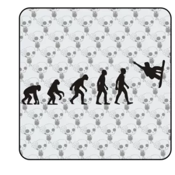 Sticker evo snowboard