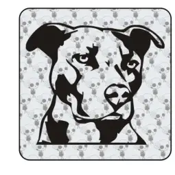 Autocollant pitbull - american sttaford 2