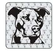 Autocollant pitbull - american sttaford 2