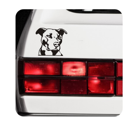 Sticker skater