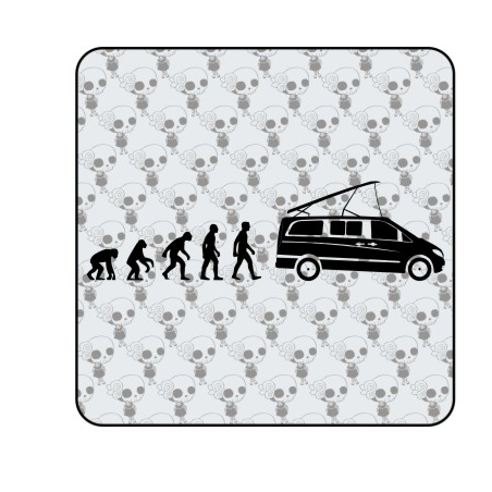 EVOLUTION VIANO MARCO POLO Aufkleber