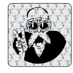 Autocollant Follet tortuga 2