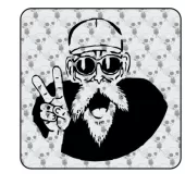 Sticker Follet tortuga 2