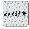 Sticker evolucion surf