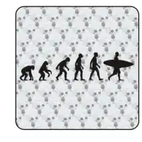 Pegatina EVOLUCION SURF. Pegatinas surferas. 2