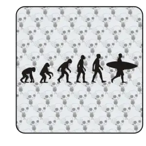Pegatina EVOLUCION SURF. Pegatinas surferas.