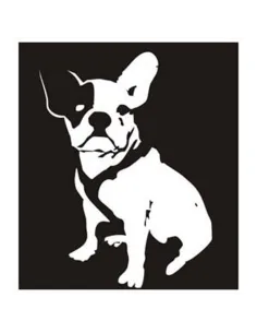 French bulldog -2