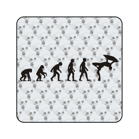 Pegatina EVOLUCION BODYBOARD. Pegatinas surferas.